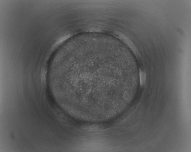 X0000116480675200912292046