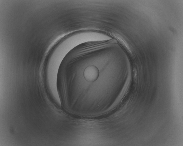 X0000116480676200912292046