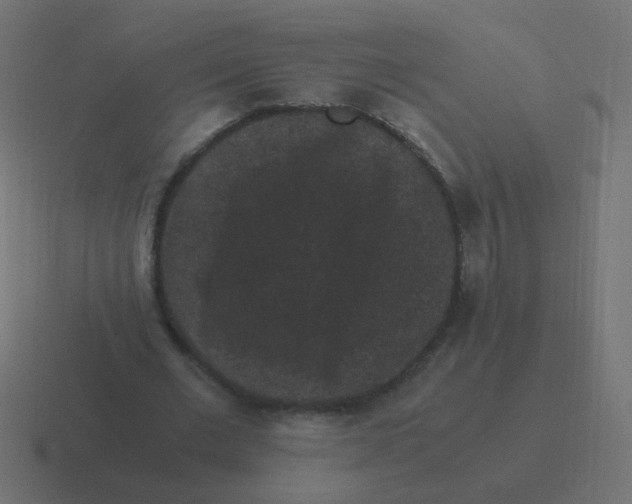 X0000116480677200912292046