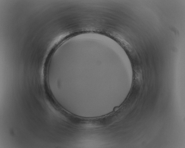 X0000116480678200912292046