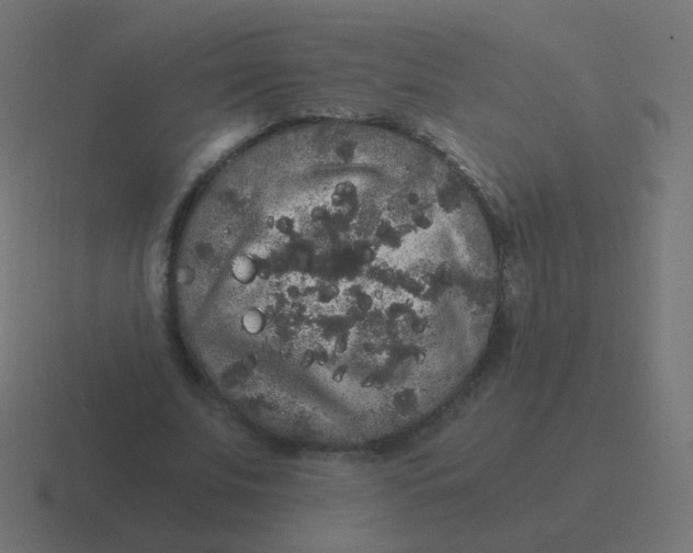 X0000116480679200912292046