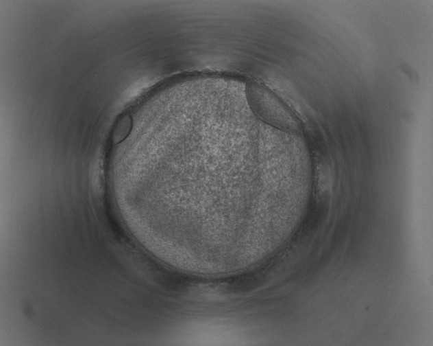 X0000116480680200912292046