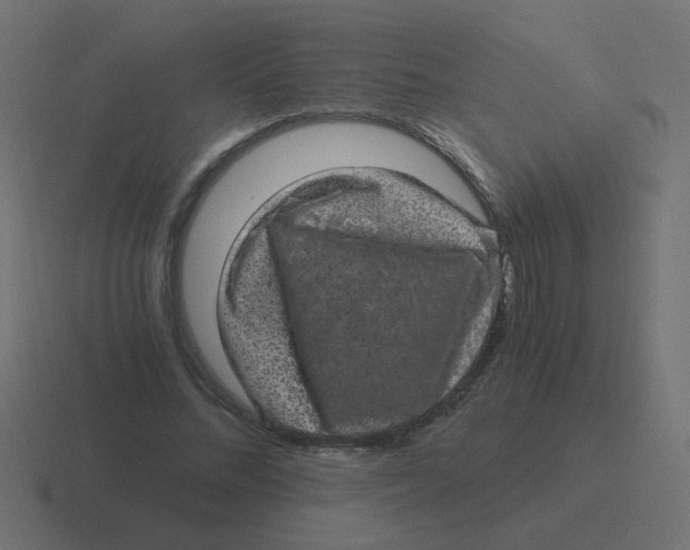 X0000116480684200912292046