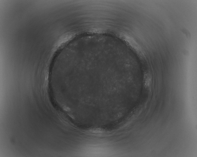 X0000116480685200912292046