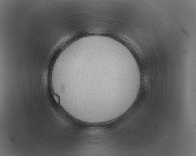 X0000116480686200912292046