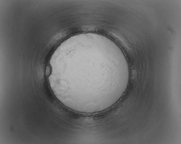 X0000116480687200912292046