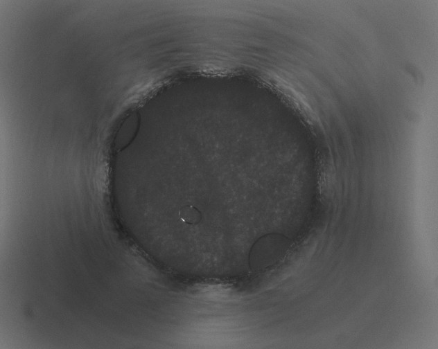 X0000116480689200912292046