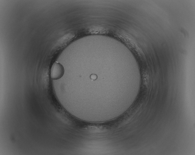 X0000116480690200912292046