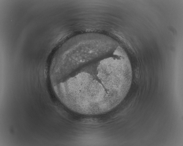 X0000116480691200912292046