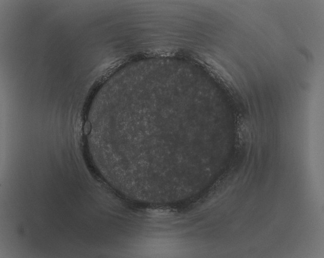 X0000116480693200912292046