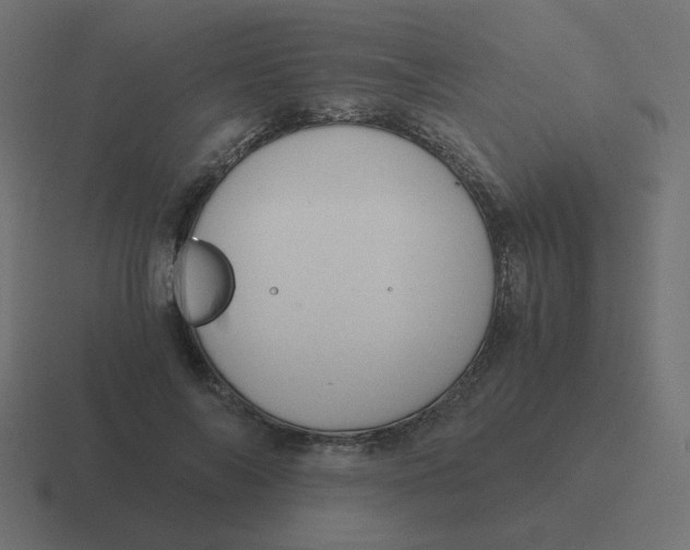 X0000116480694200912292046