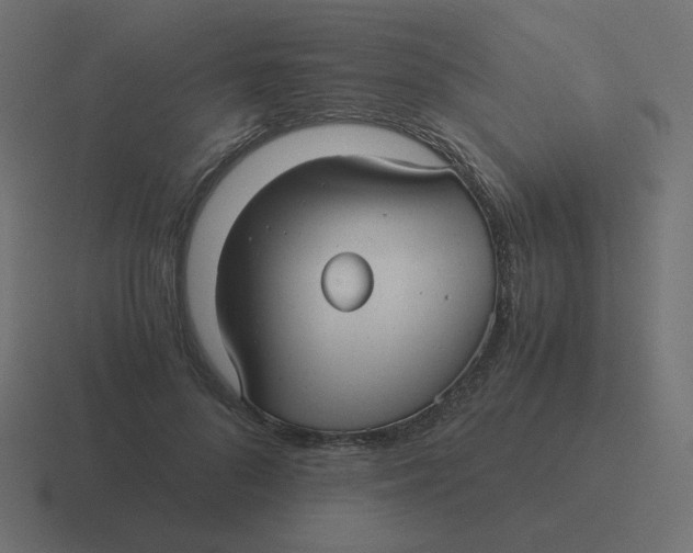 X0000116480696200912292046