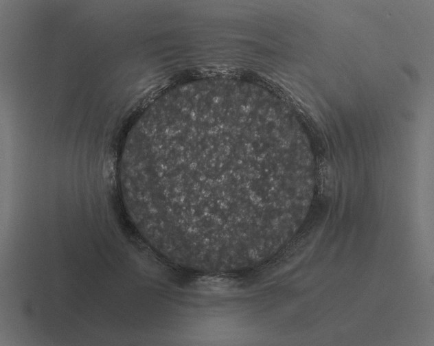 X0000116480699200912292046