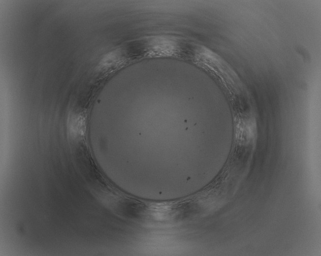 X0000116480701200912292046