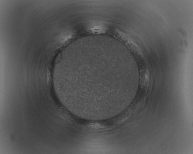 X0000116480704200912292046