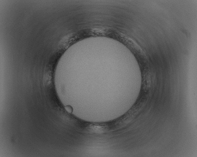 X0000116480706200912292046