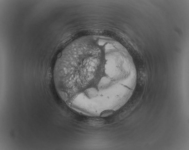 X0000116480707200912292046