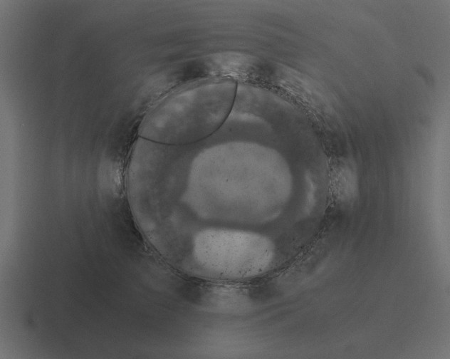 X0000116480709200912292046