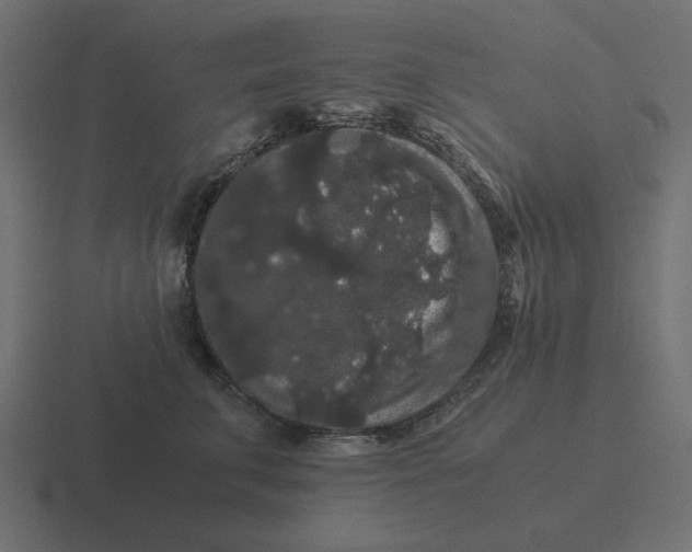 X0000116480711200912292046