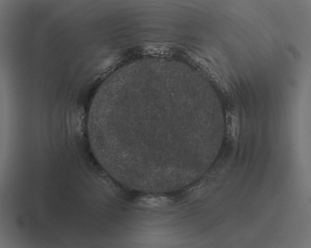 X0000116480712200912292046