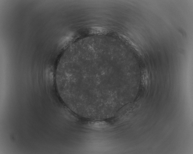 X0000116480716200912292046