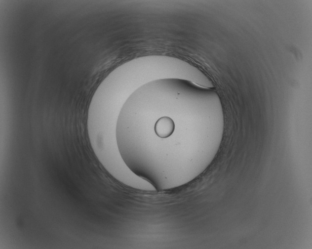 X0000116480720200912292046