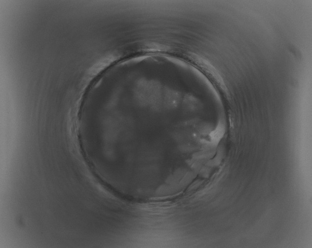 X0000116480721200912292045