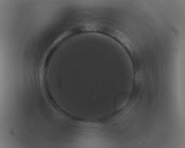 X0000116480722200912292045