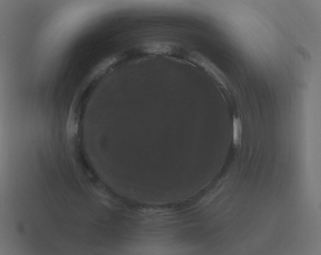 X0000116480723200912292045