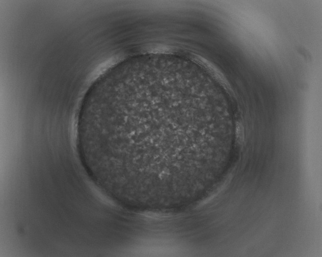 X0000116480725200912292045