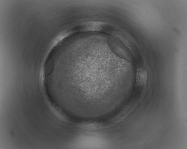 X0000116480726200912292045