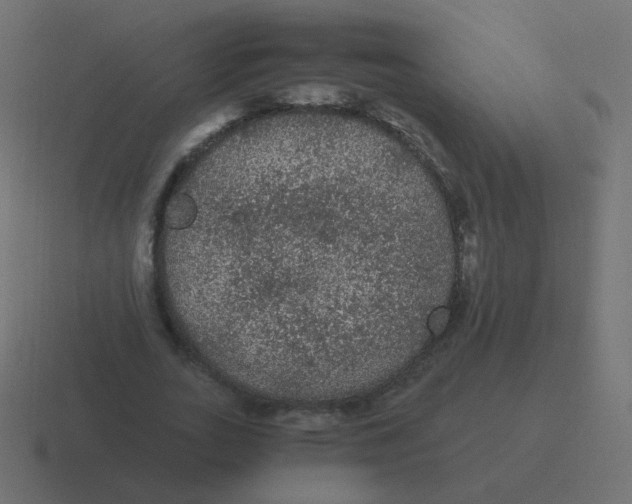 X0000116480727200912292045