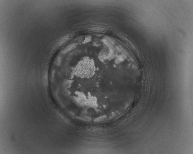 X0000116480729200912292045