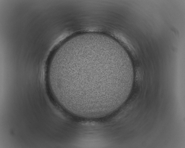 X0000116480730200912292045