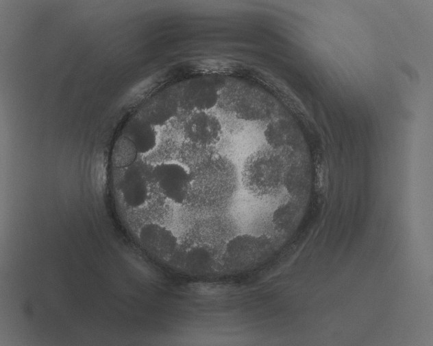 X0000116480733200912292045