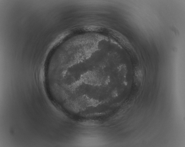 X0000116480734200912292045