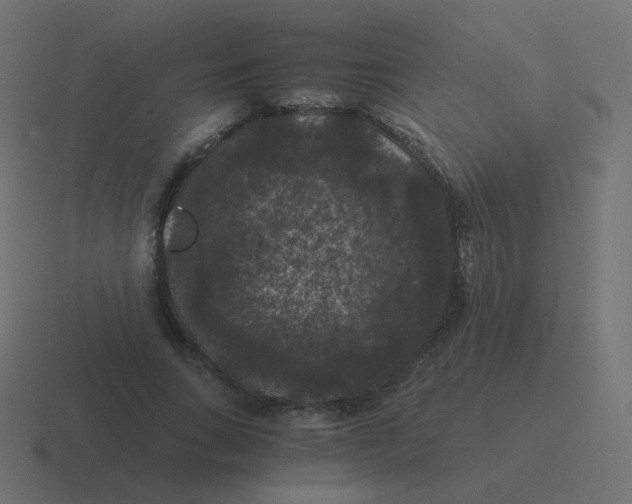 X0000116480735200912292045