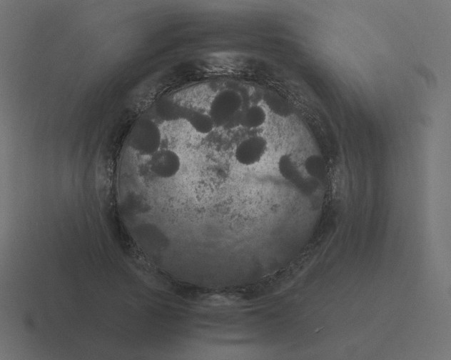 X0000116480737200912292045