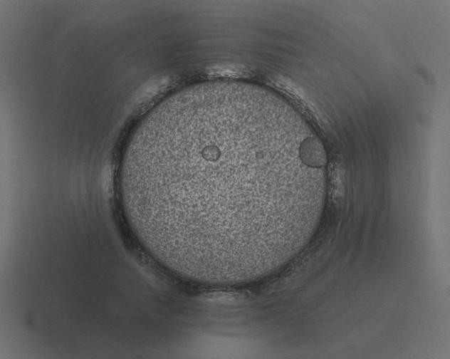 X0000116480738200912292045