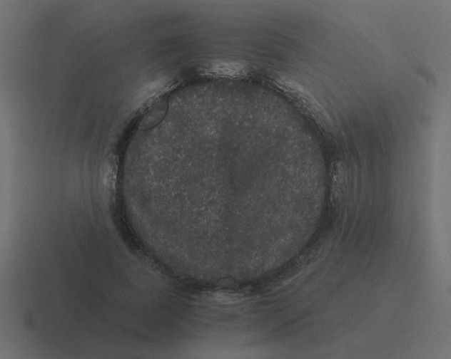 X0000116480739200912292045