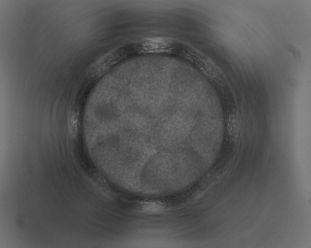 X0000116480741200912292045