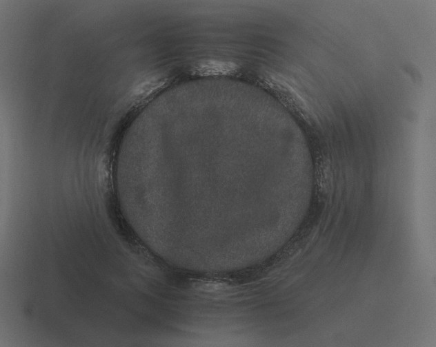 X0000116480743200912292046