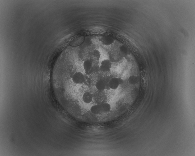 X0000116480745200912292046