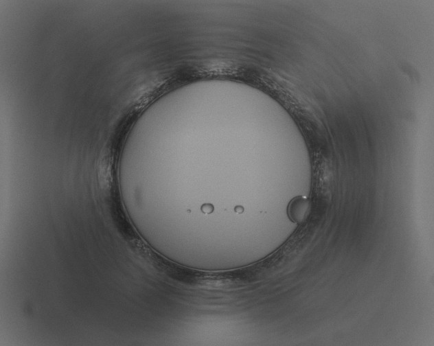 X0000116480746200912292046