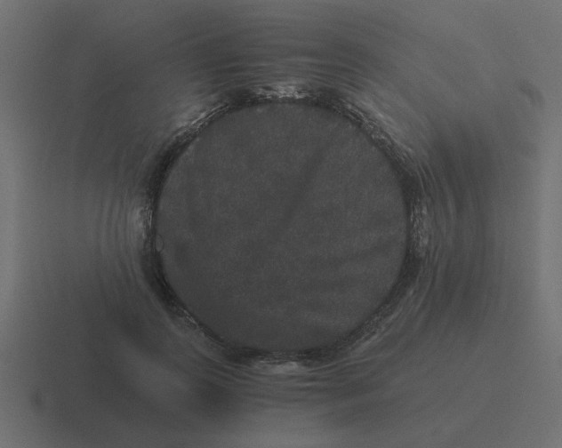 X0000116480747200912292046