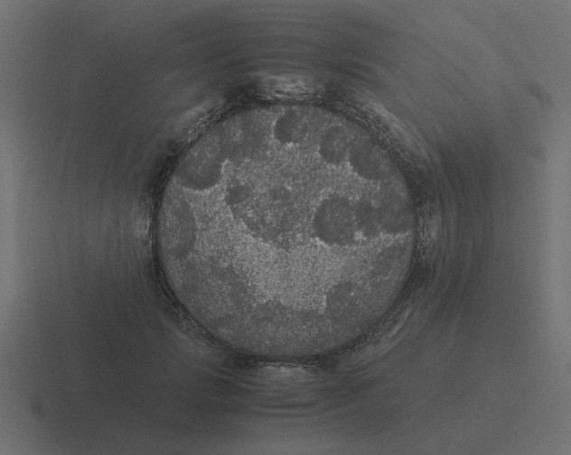 X0000116480749200912292046