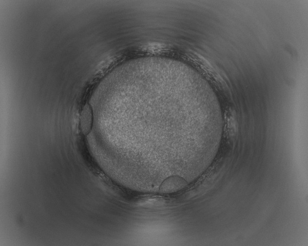 X0000116480750200912292046