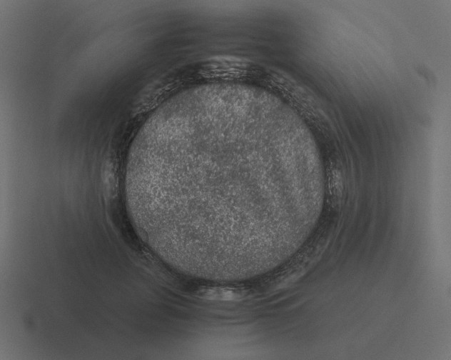 X0000116480751200912292046