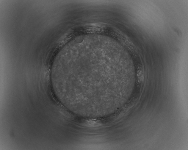 X0000116480753200912292046