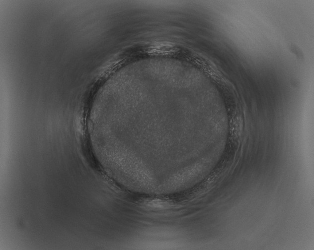 X0000116480755200912292046